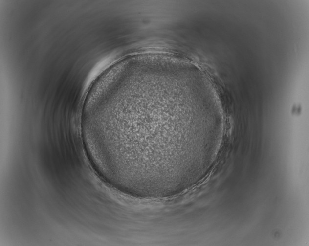 X0000091100004200708201532