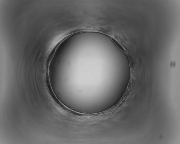 X0000091100005200708201532