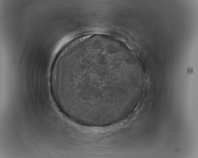 X0000091100006200708201532