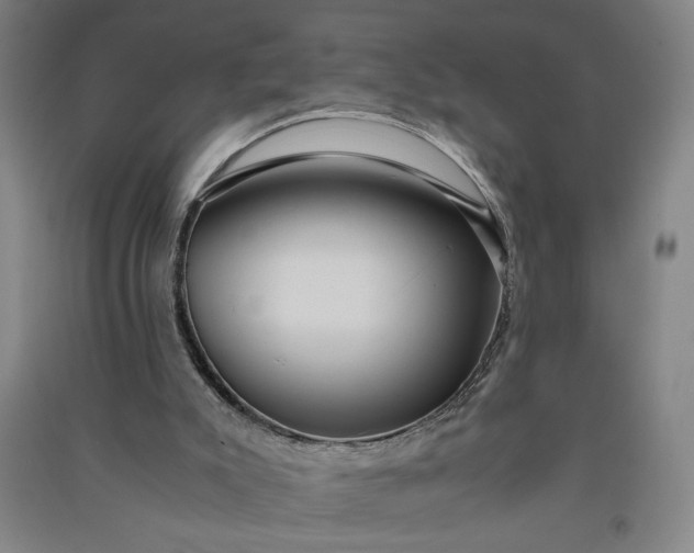 X0000091100007200708201532