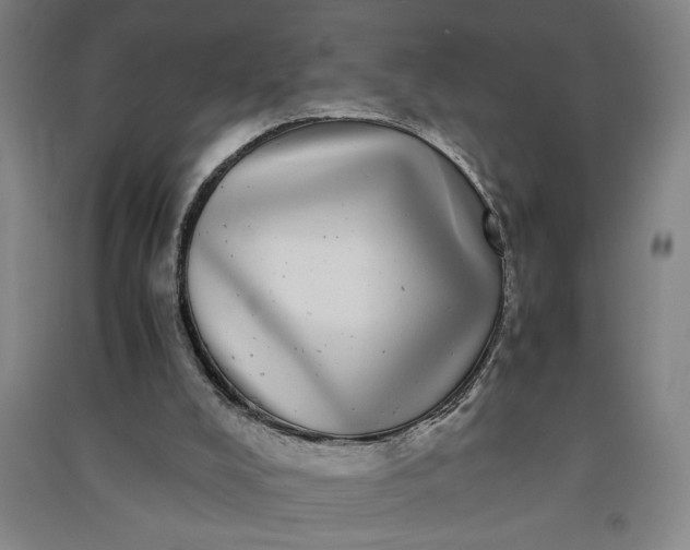 X0000091100008200708201532