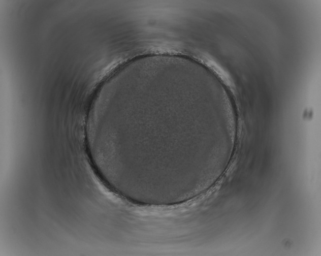 X0000091100009200708201532