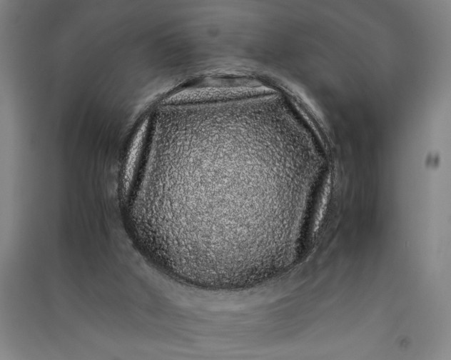 X0000091100010200708201532