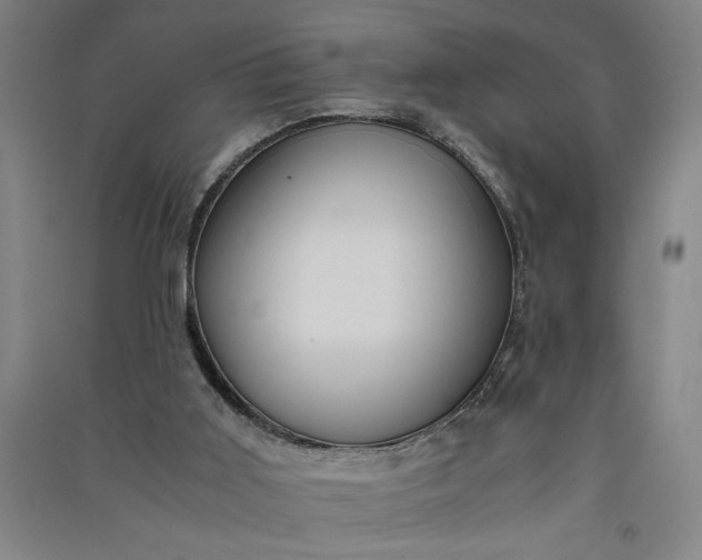 X0000091100011200708201532