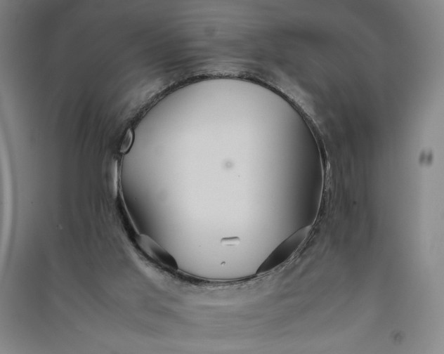 X0000091100013200708201532