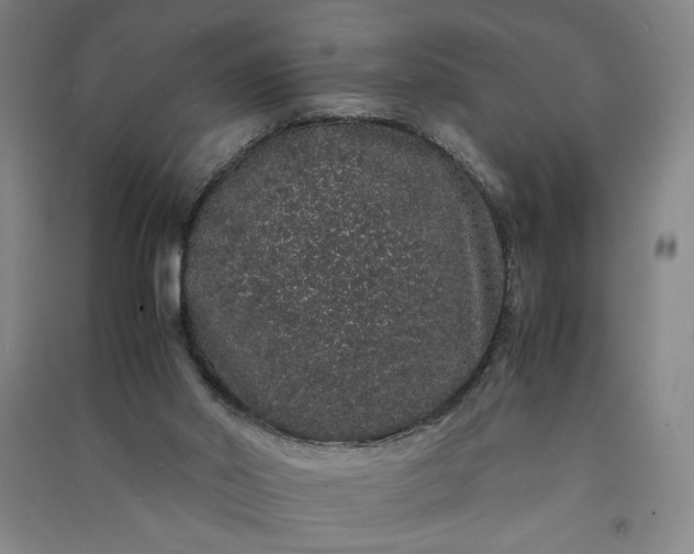 X0000091100014200708201532