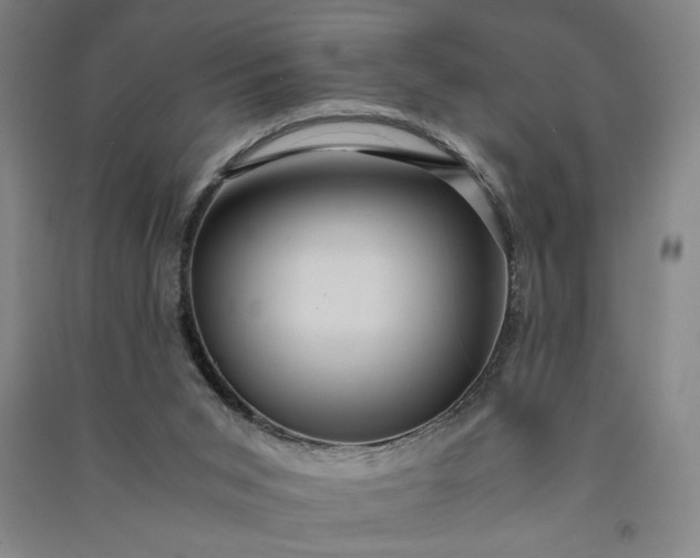 X0000091100015200708201532