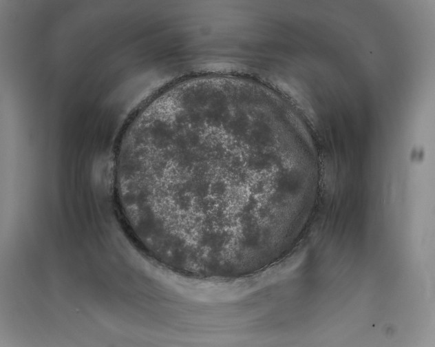 X0000091100016200708201532