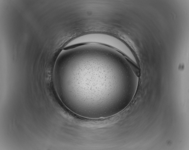 X0000091100017200708201532