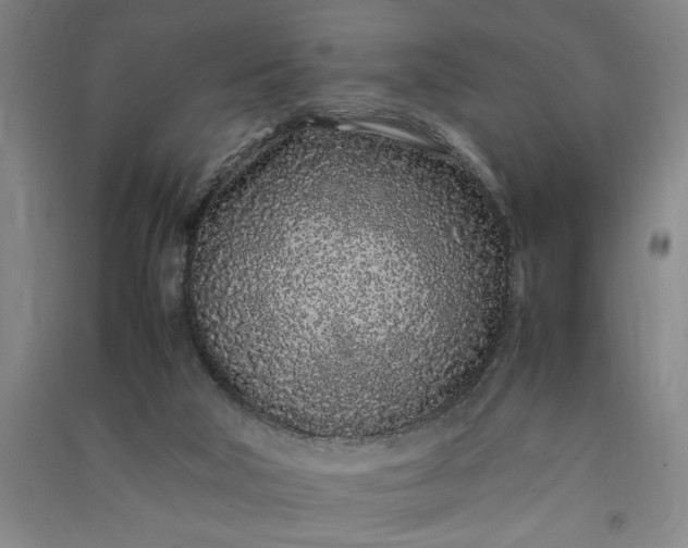 X0000091100018200708201532