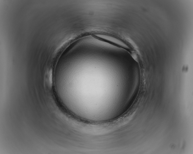 X0000091100020200708201532