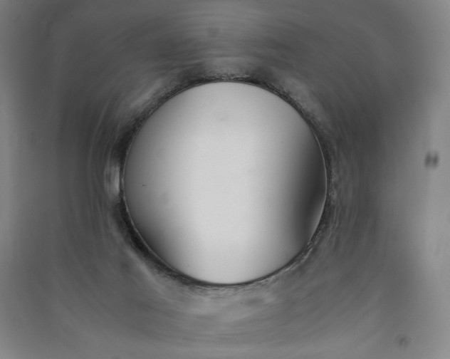 X0000091100021200708201532