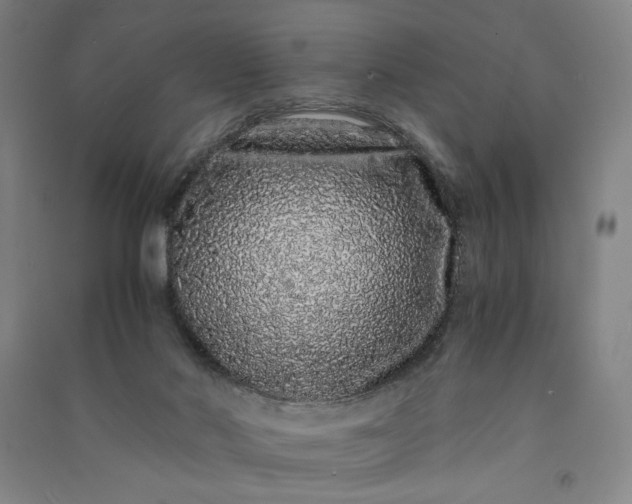 X0000091100022200708201532