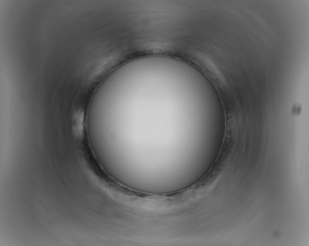 X0000091100024200708201532