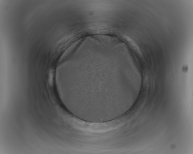 X0000091100026200708201532