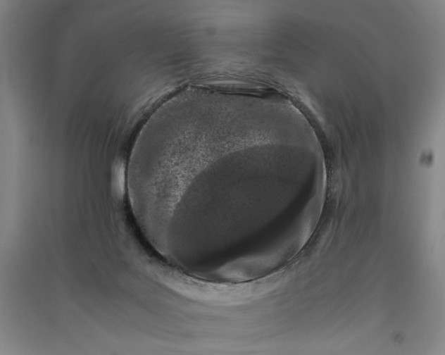 X0000091100027200708201532