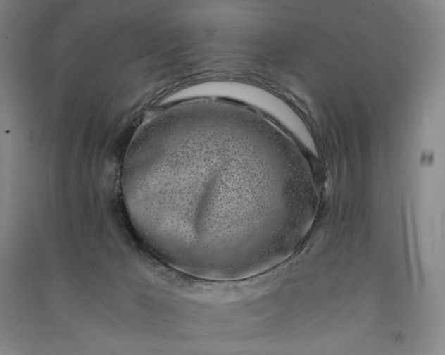 X0000091100029200708201532