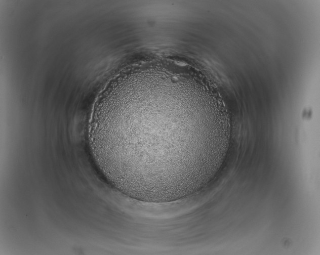 X0000091100030200708201532