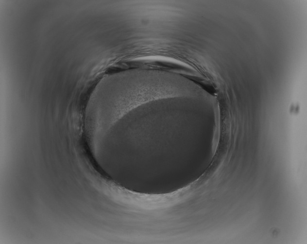 X0000091100031200708201532