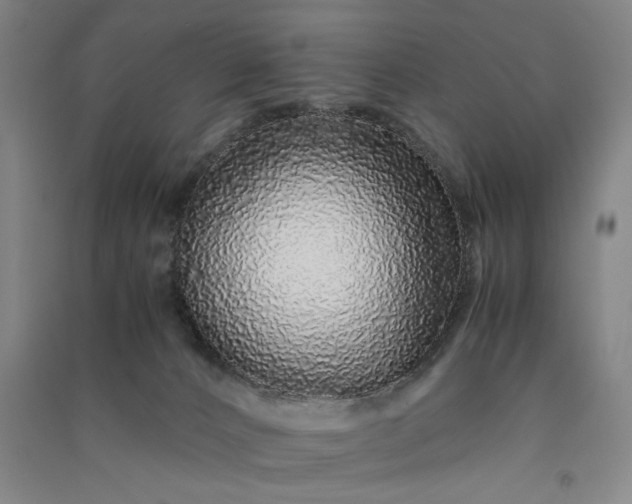 X0000091100032200708201532