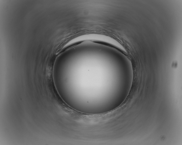 X0000091100033200708201532