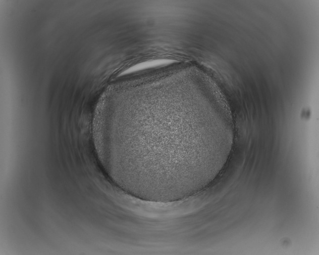 X0000091100034200708201532