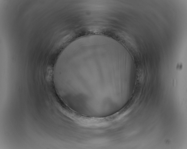 X0000091100036200708201532