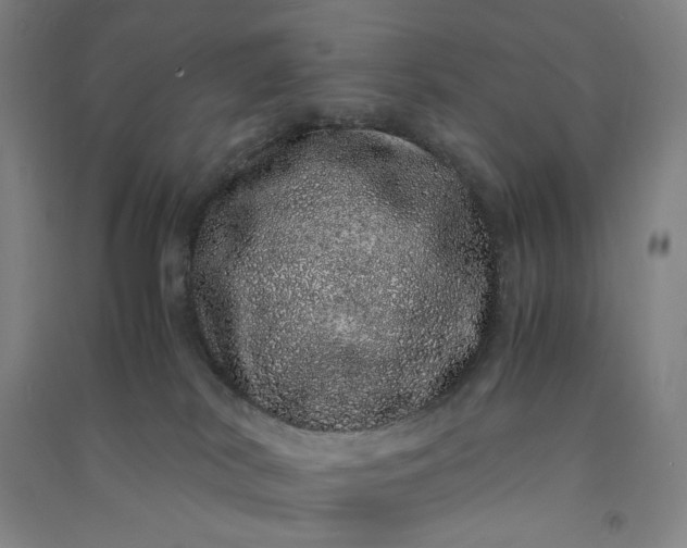 X0000091100038200708201531