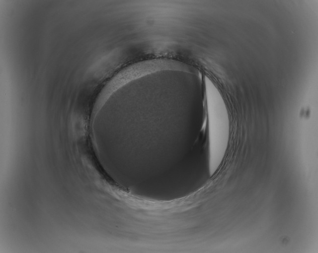 X0000091100039200708201531