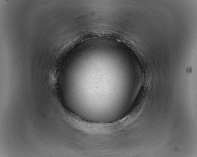 X0000091100040200708201531