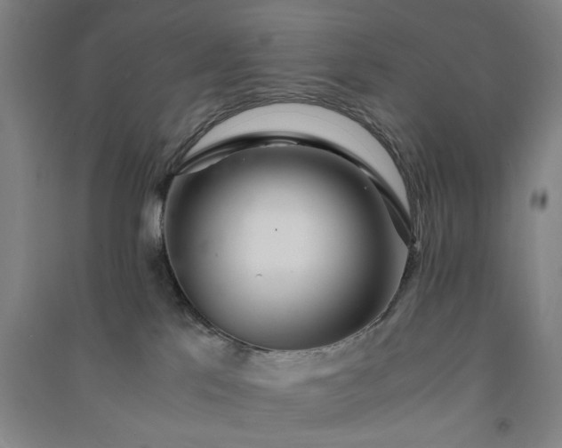 X0000091100041200708201531