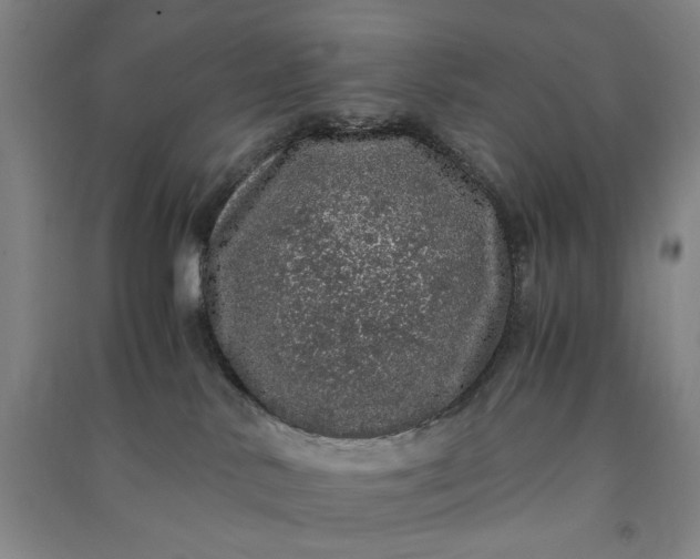 X0000091100042200708201531