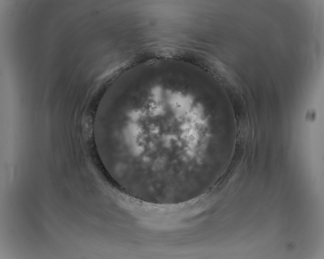 X0000091100043200708201531