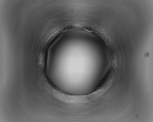 X0000091100044200708201531