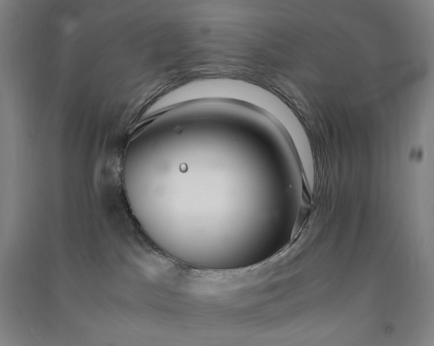 X0000091100045200708201531