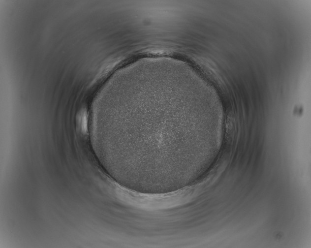 X0000091100046200708201531