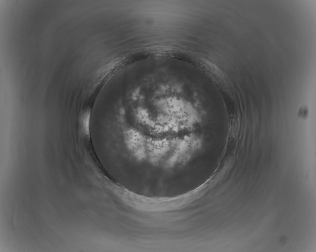 X0000091100047200708201531