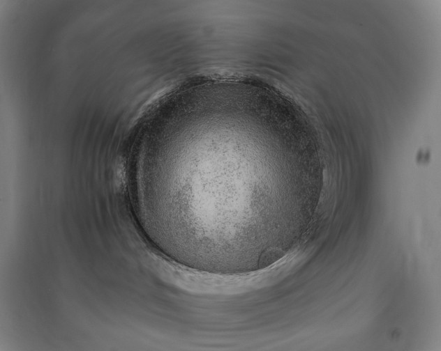 X0000091100048200708201531