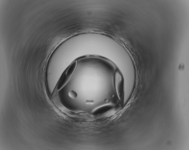 X0000091100049200708201531