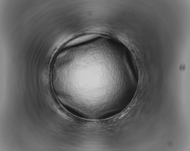 X0000091100050200708201531