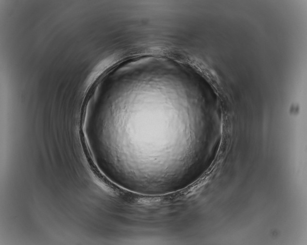 X0000091100051200708201531