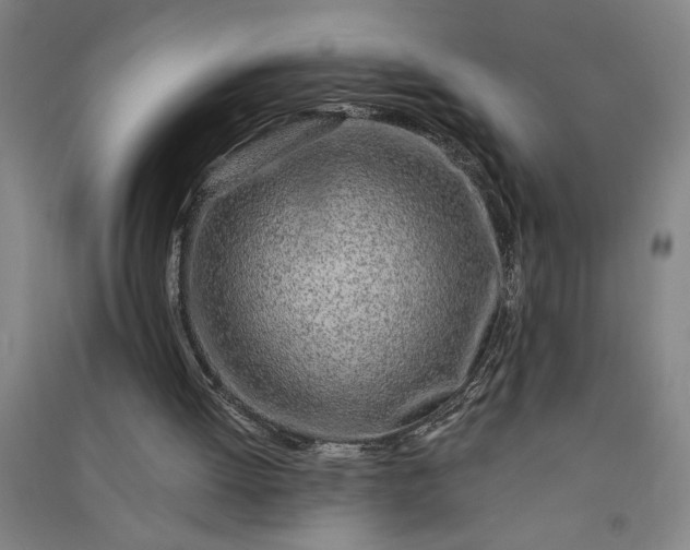 X0000091100052200708201531