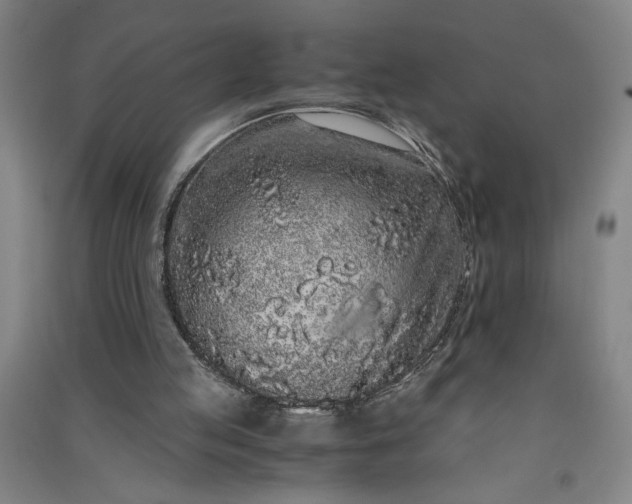 X0000091100053200708201531