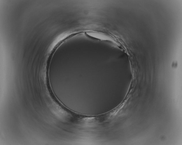 X0000091100054200708201531