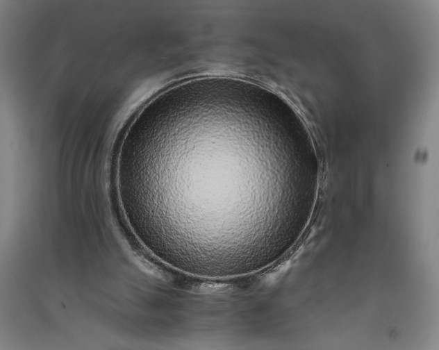 X0000091100055200708201531