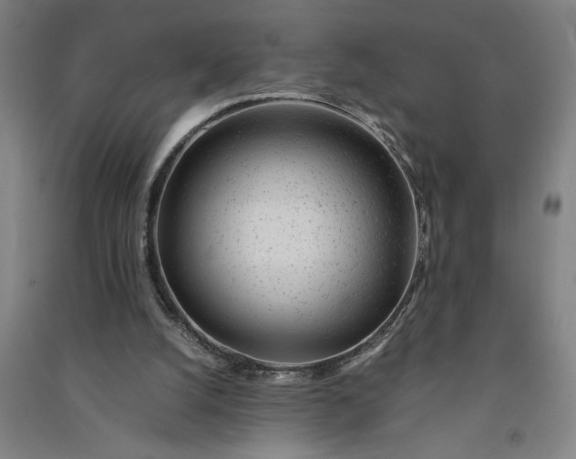 X0000091100056200708201531