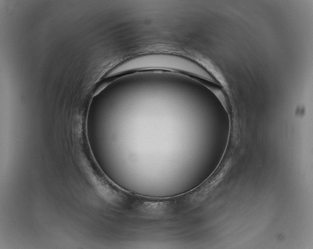 X0000091100057200708201531