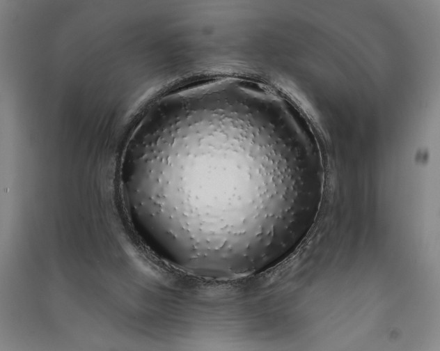 X0000091100058200708201531