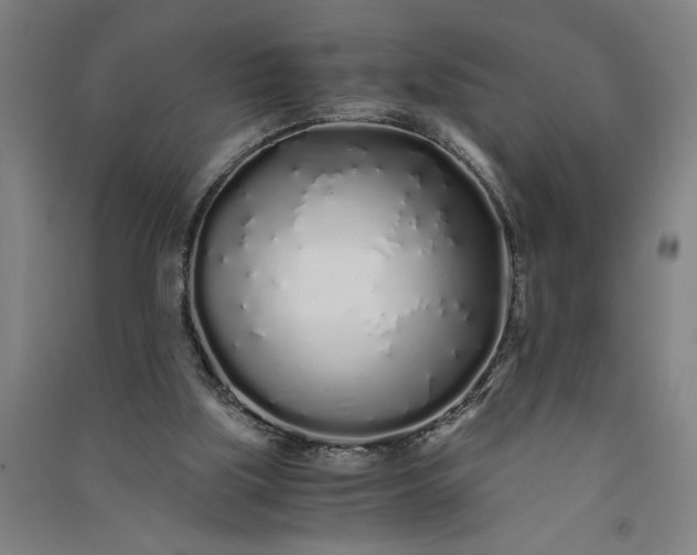 X0000091100059200708201531