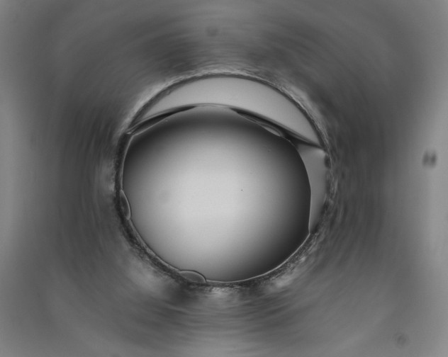 X0000091100060200708201531